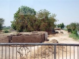 Tn DSC 0109